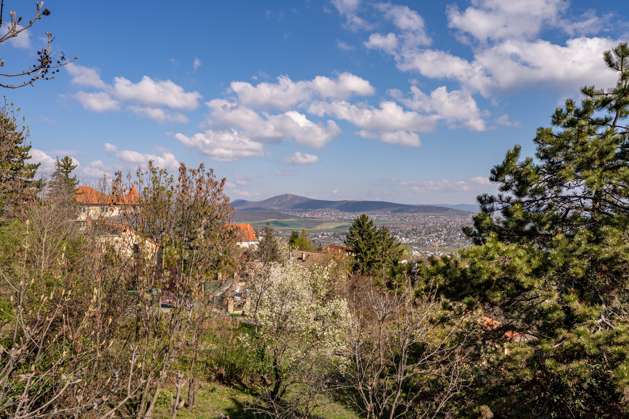 Tavaszi panoráma kilátás dombokra és egy távoli városra, előtérben rügyező fákkal és bokrokkal. Az ég kék és felhős.
