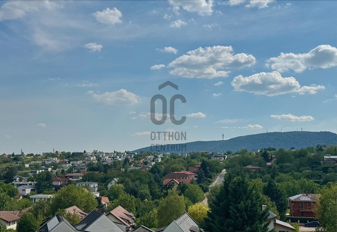 Aranyhegy zöldövezeti városi panorámája helyszíni fotón